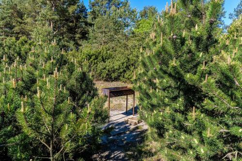 Nida Purvyn?s 51 Apartamentai