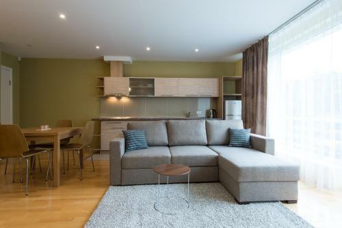 Apartamento Parnid?io Kopa