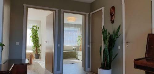 Family Apartment Nida