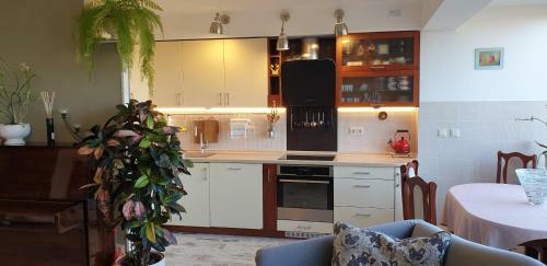 Family Apartment Nida