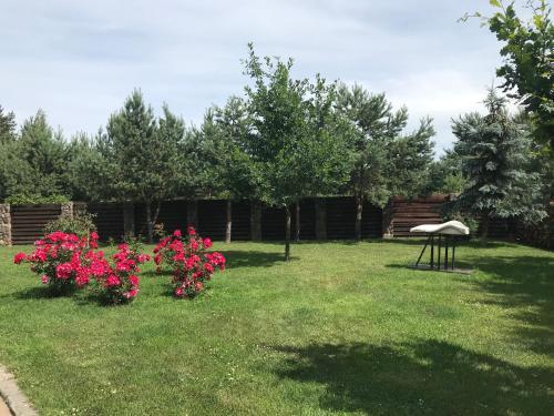 Apartamentai Galerija