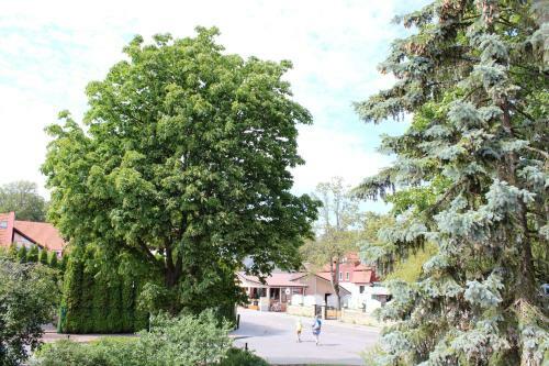 Hostal La Palanga