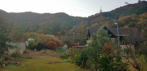 Lodge Calmming In Forest