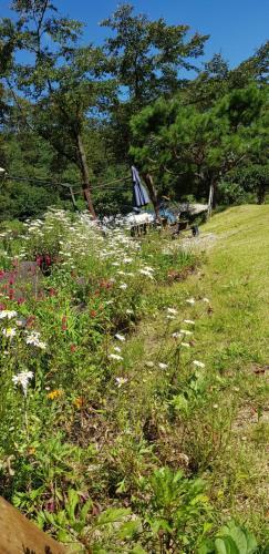 Hostal Big Yard Pension