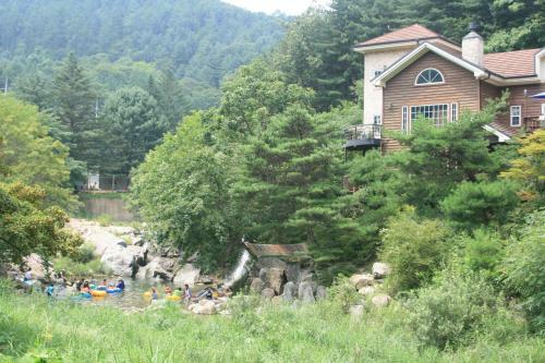 Mir Pension