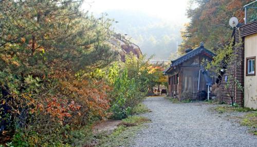 Mir Pension