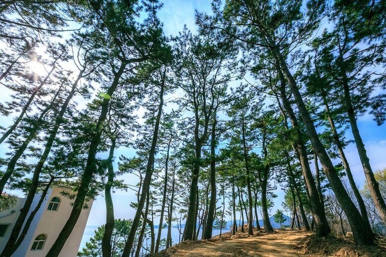 Tongyeong Beach Castle Hotel