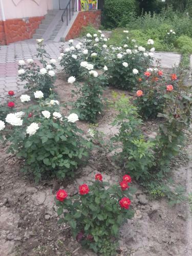 Fm Hostel Almaty