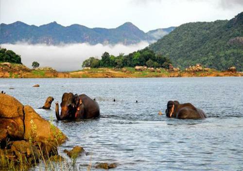 Hostal Rathnapriya Safari Guest Galoya