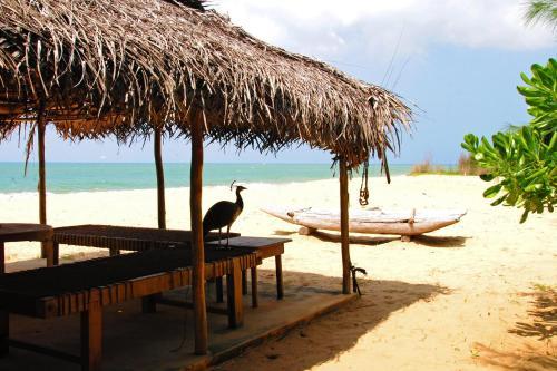 Villa Khomba Beach House