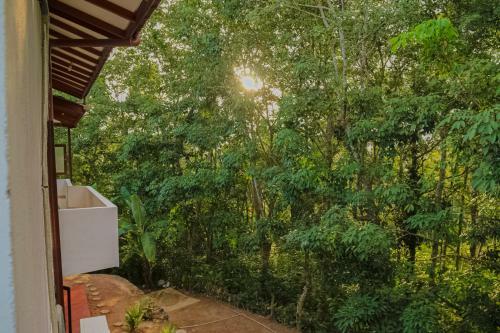 Dream Vacation Bungalow