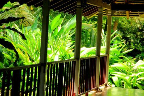 Crocodile Rock Villa