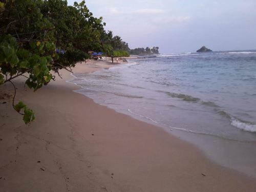 Southern Beach Surf Lodge