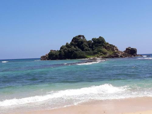 Southern Beach Surf Lodge