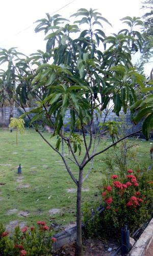 Hostal Beach Guest House Addalaichenai