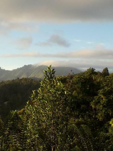 Apartamento Scenic Sierra Inn