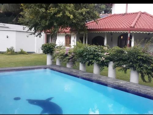 Hostal Boutique Holiday Bungalow