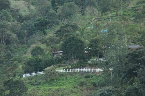 Hotel Knuckles Misty Bungalow