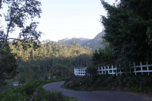 Hotel Knuckles Misty Bungalow