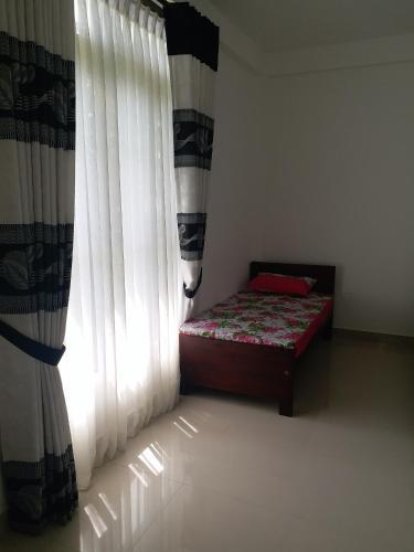 Hostal Curly Place
