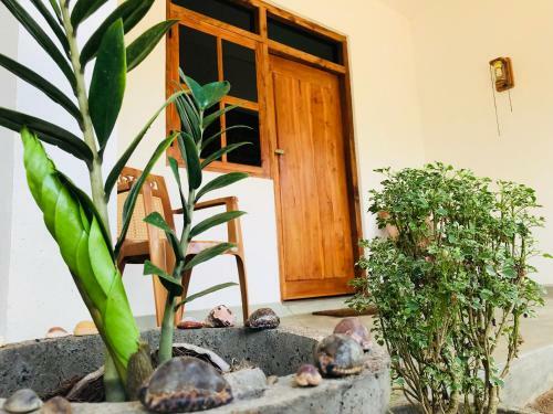Hotel Starfish Beach Bungalows