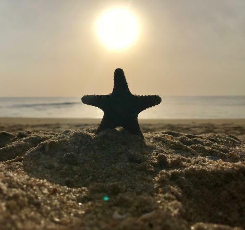 Hotel Starfish Beach Bungalows