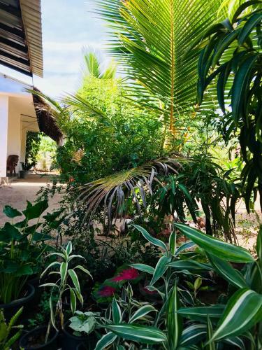 Hotel Starfish Beach Bungalows
