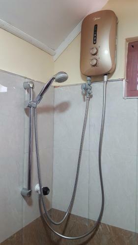 Hostal Tulip Guest Inn