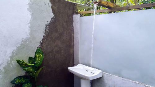 Sanda Asapuwa Homestay