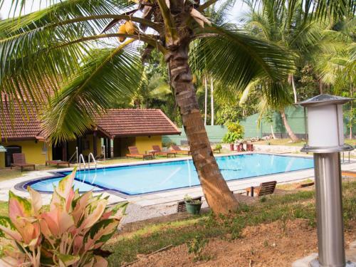 Hotel Resort Like No Other