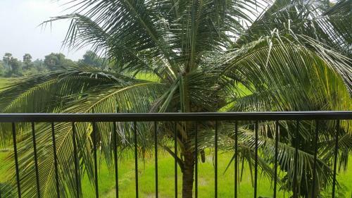 Hostal Serene View Tourist Rest