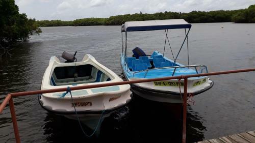 Hotel Wilpattu Nature Resort