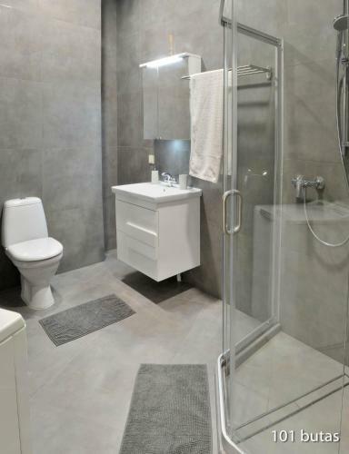 Luxurious Apartment
