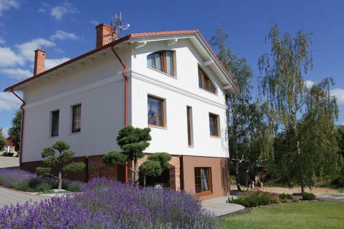 Hostal Lavender Inn Guest House