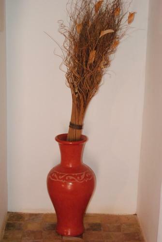 Riad Auberge Chez Pierre
