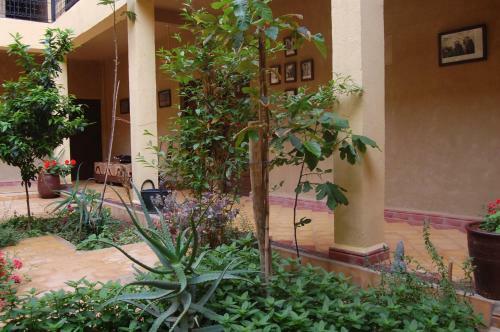 Posada Auberge Amellagou