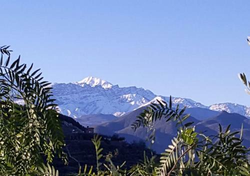 Posada Le Douar Berbere