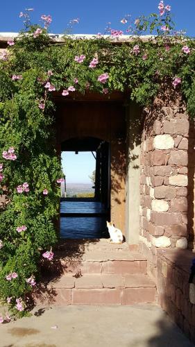 Posada Le Douar Berbere