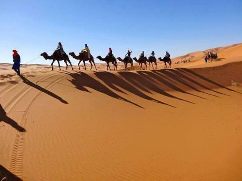 Ammar Luxury Camp