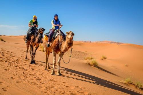 Camp Sahara Tours