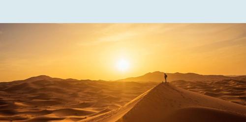 Camp Sahara Tours