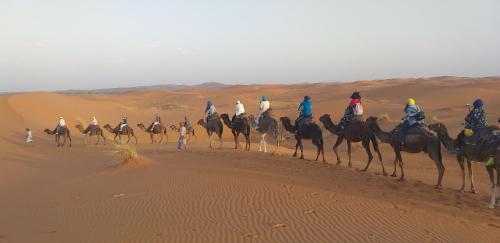 Camp Sahara Tours