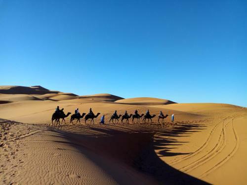 Amazigh Camp