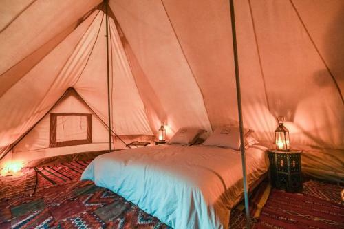 Luxury Bedouin Camp