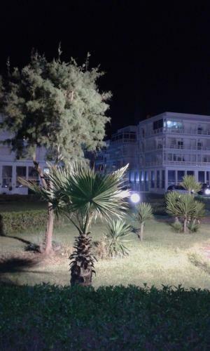 Blue Star Apartment