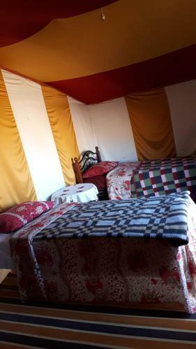 Hostal Camp Planet Desert Tour