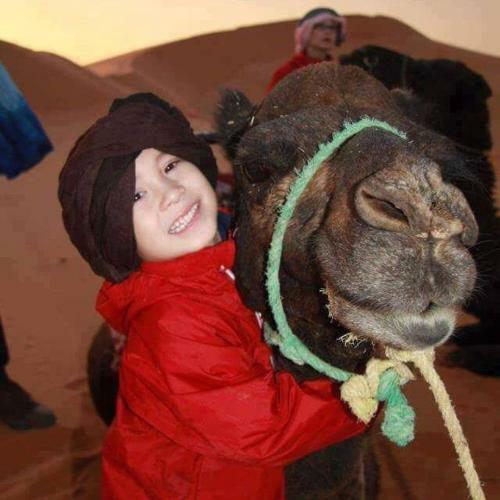 Berber & Camel Trek