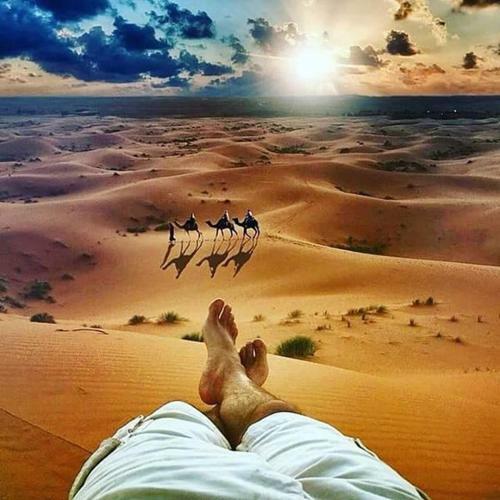 Berber & Camel Trek