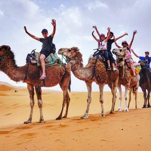 Berber & Camel Trek