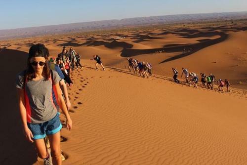 Berber & Camel Trek